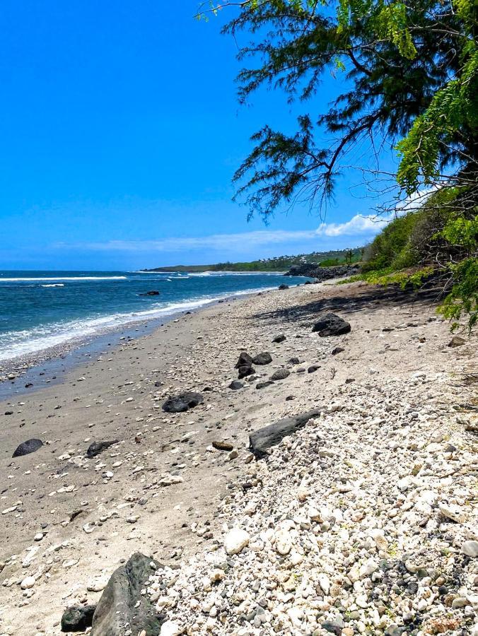 Le Petrel Bleu - Appartement Sur La Plage Des Tortues A 圣勒 外观 照片