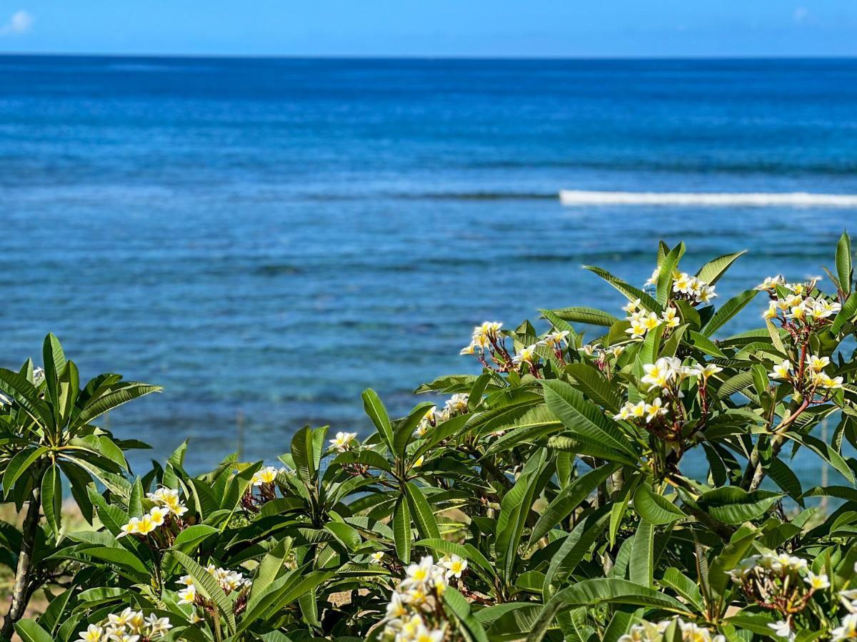 Le Petrel Bleu - Appartement Sur La Plage Des Tortues A 圣勒 外观 照片