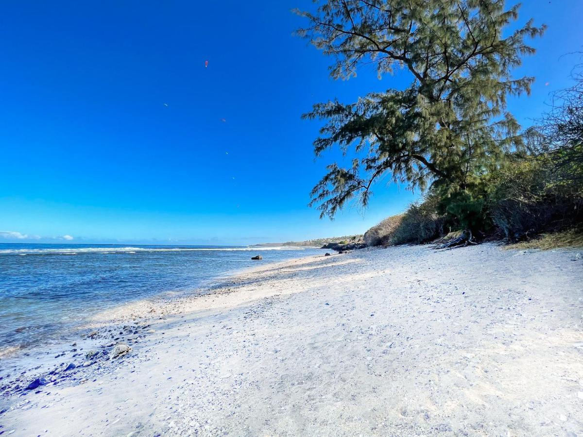 Le Petrel Bleu - Appartement Sur La Plage Des Tortues A 圣勒 外观 照片